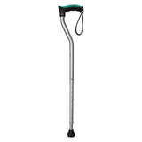 Walking Stick