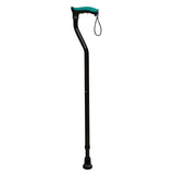 Walking Stick