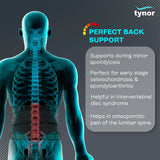 Back Support Belt