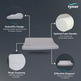 Cervical Pillow Regular